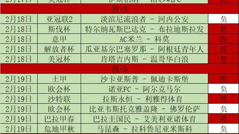 [国际足球]圣洛伦索加时制胜，惊险夺冠